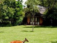 Protea Hotel Lusaka Safari Lodge